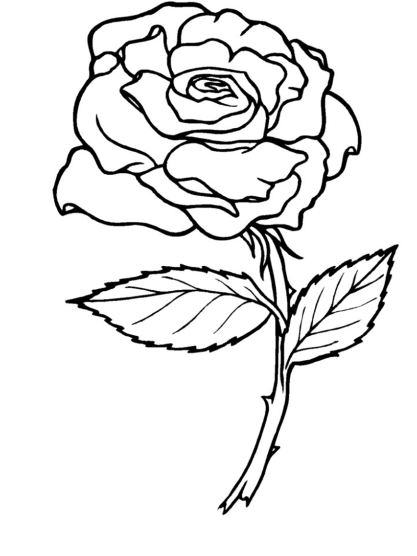 Página para colorir: rosas (Natureza) #161864 - Páginas para Colorir Imprimíveis Gratuitamente