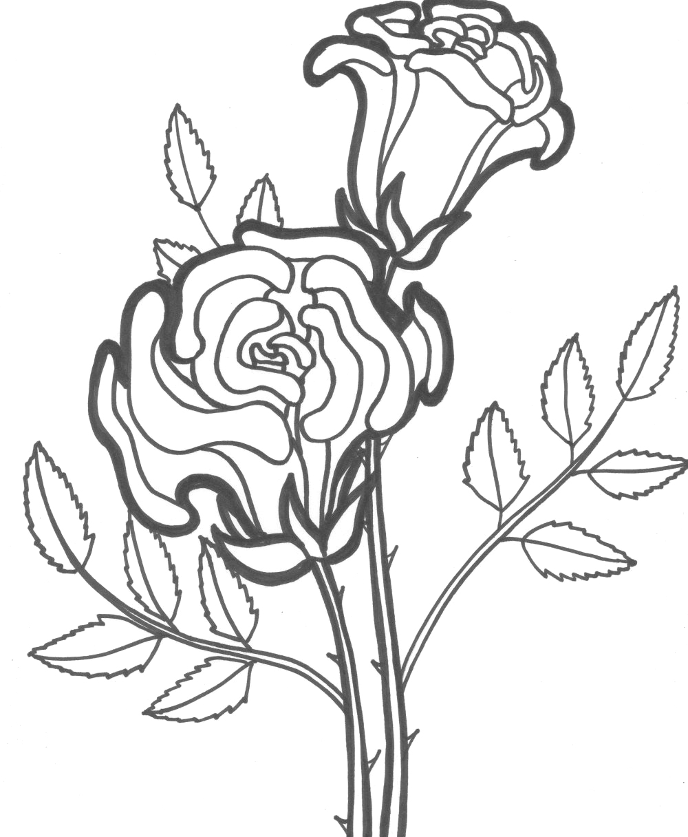 Página para colorir: rosas (Natureza) #161879 - Páginas para Colorir Imprimíveis Gratuitamente