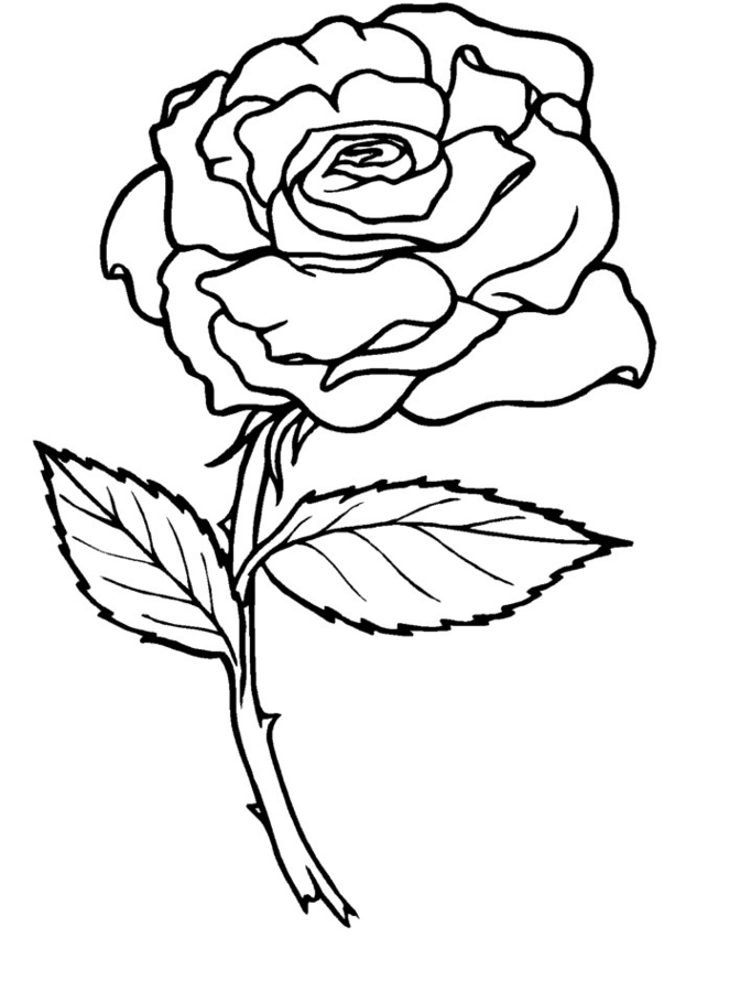 Página para colorir: rosas (Natureza) #161884 - Páginas para Colorir Imprimíveis Gratuitamente