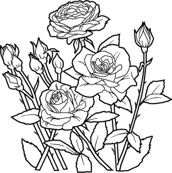 Página para colorir: rosas (Natureza) #161888 - Páginas para Colorir Imprimíveis Gratuitamente