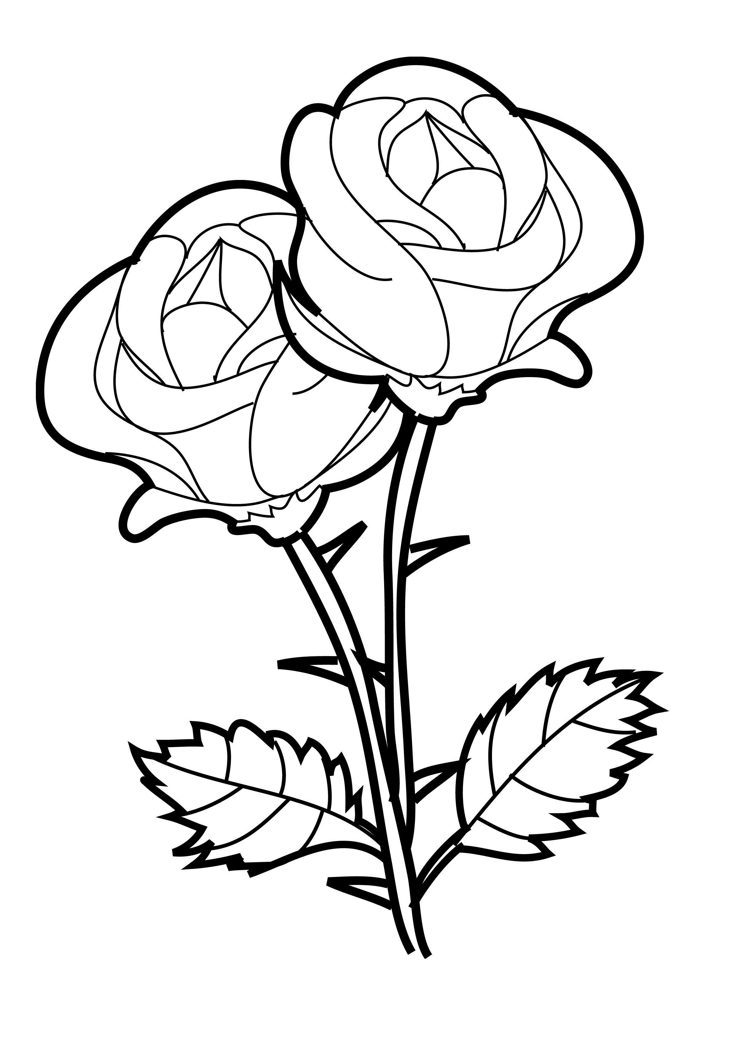 Página para colorir: rosas (Natureza) #161890 - Páginas para Colorir Imprimíveis Gratuitamente