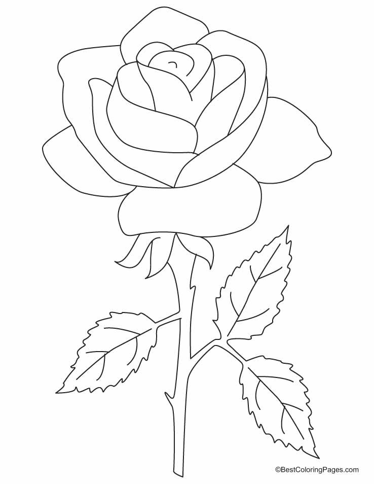 Página para colorir: rosas (Natureza) #161893 - Páginas para Colorir Imprimíveis Gratuitamente