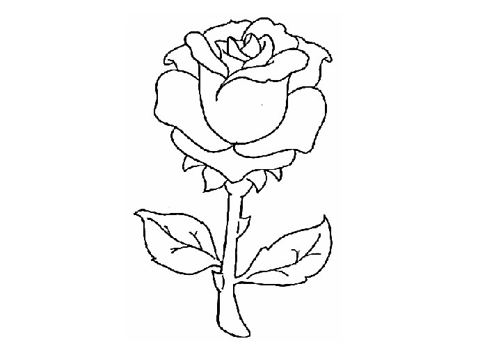 Página para colorir: rosas (Natureza) #161907 - Páginas para Colorir Imprimíveis Gratuitamente