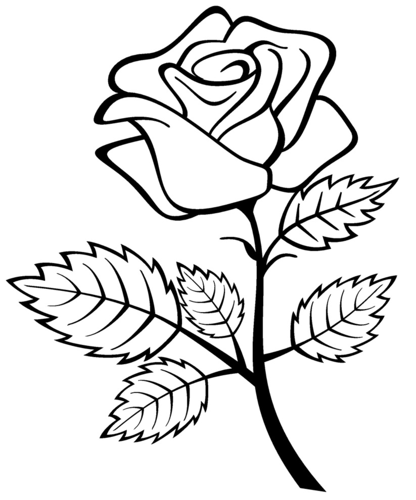 Página para colorir: rosas (Natureza) #161909 - Páginas para Colorir Imprimíveis Gratuitamente