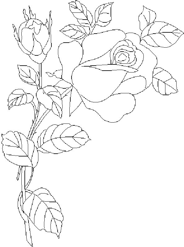 Página para colorir: rosas (Natureza) #161949 - Páginas para Colorir Imprimíveis Gratuitamente