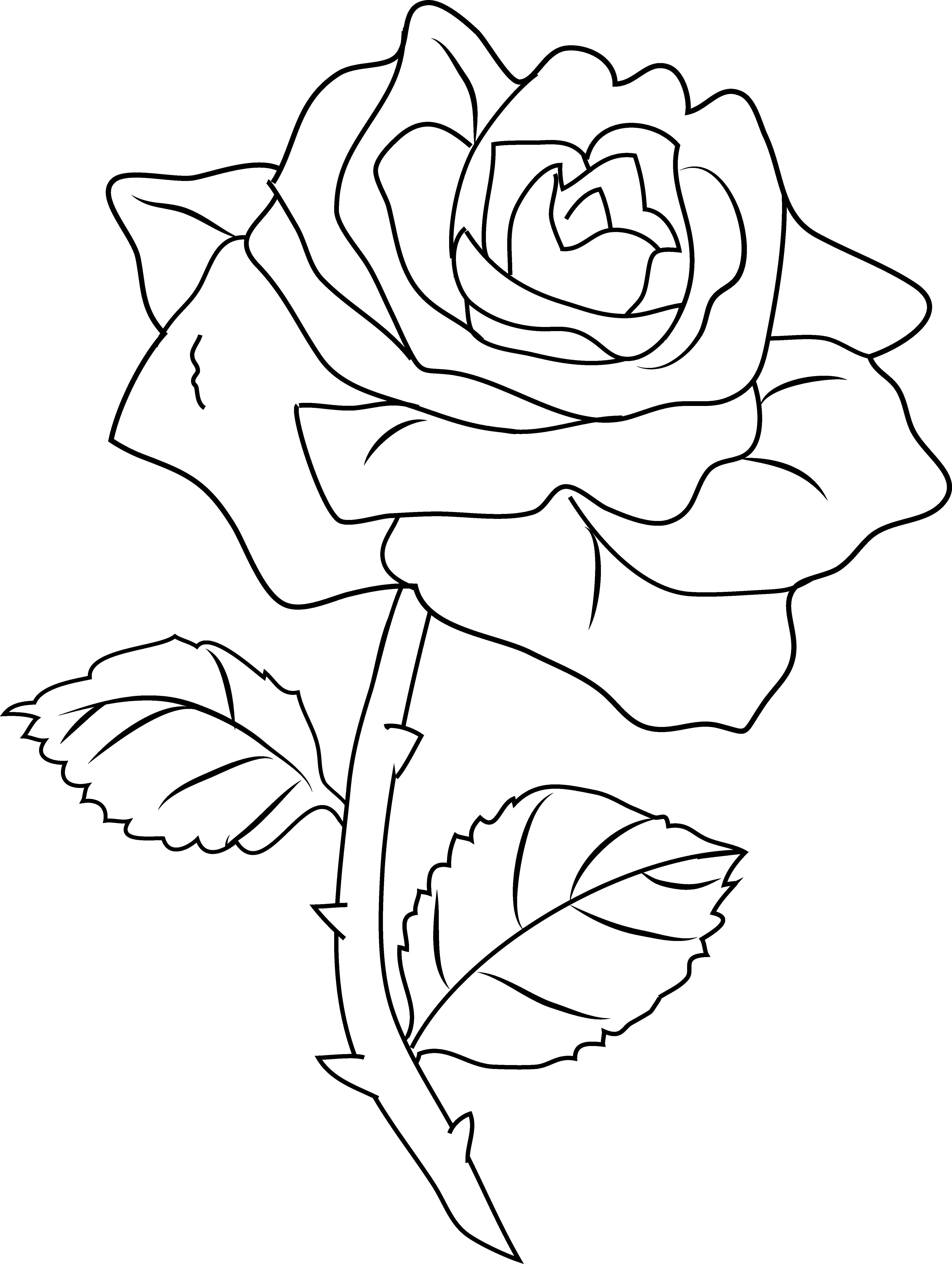 Página para colorir: rosas (Natureza) #161971 - Páginas para Colorir Imprimíveis Gratuitamente