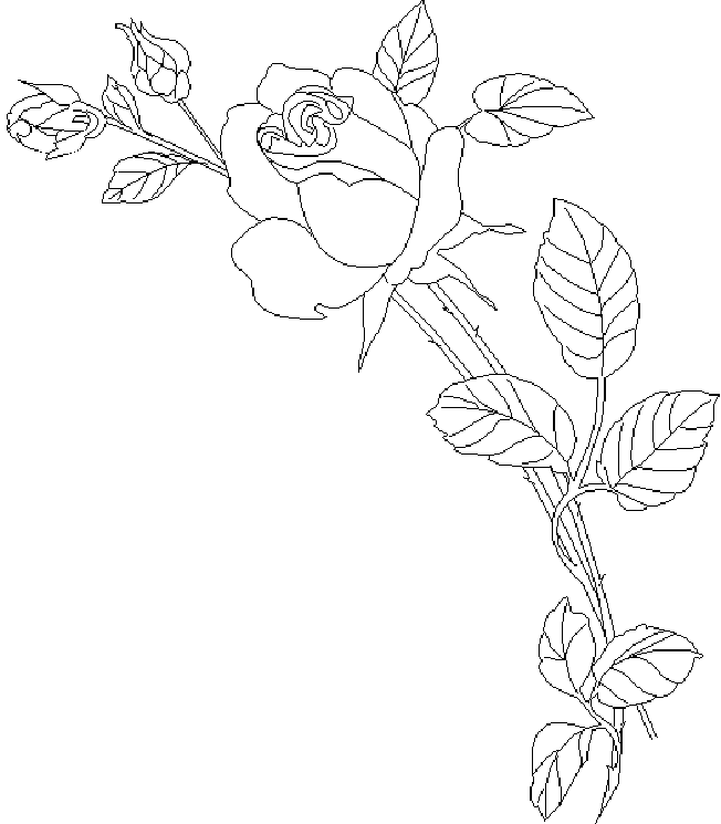 Página para colorir: rosas (Natureza) #161974 - Páginas para Colorir Imprimíveis Gratuitamente