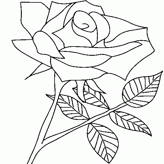Página para colorir: rosas (Natureza) #161982 - Páginas para Colorir Imprimíveis Gratuitamente