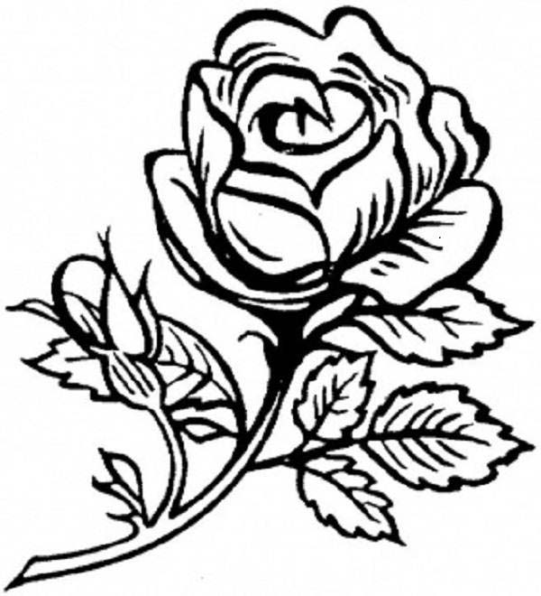 Página para colorir: rosas (Natureza) #162020 - Páginas para Colorir Imprimíveis Gratuitamente