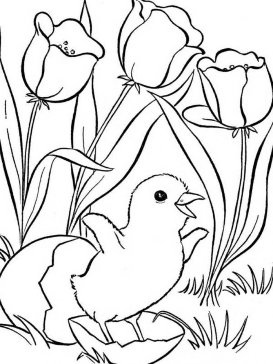 Página para colorir: Temporada de primavera (Natureza) #164796 - Páginas para Colorir Imprimíveis Gratuitamente