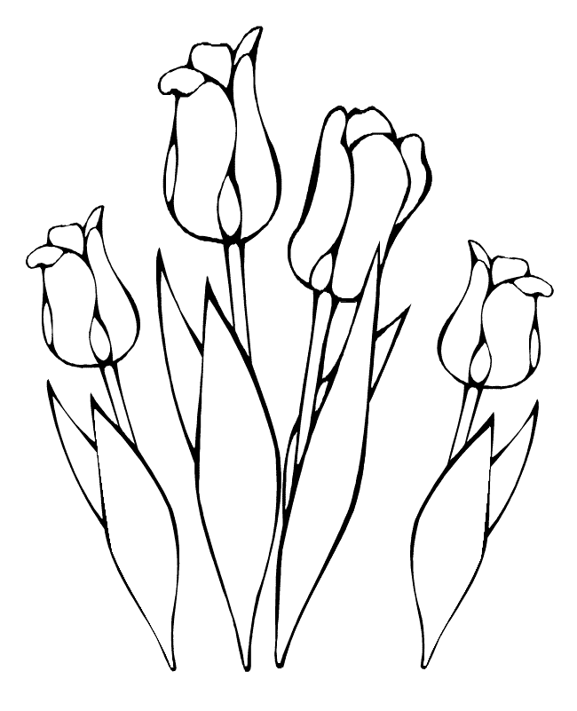 Página para colorir: Tulipa (Natureza) #161632 - Páginas para Colorir Imprimíveis Gratuitamente