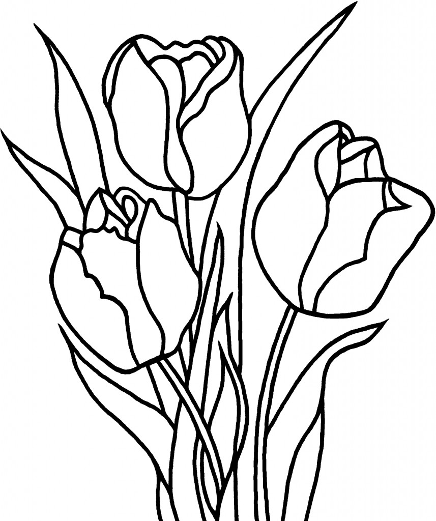 Página para colorir: Tulipa (Natureza) #161634 - Páginas para Colorir Imprimíveis Gratuitamente