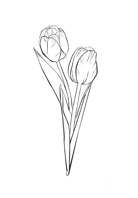 Página para colorir: Tulipa (Natureza) #161635 - Páginas para Colorir Imprimíveis Gratuitamente