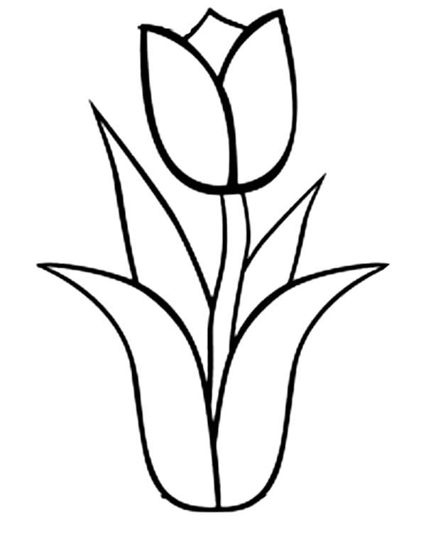 Página para colorir: Tulipa (Natureza) #161652 - Páginas para Colorir Imprimíveis Gratuitamente