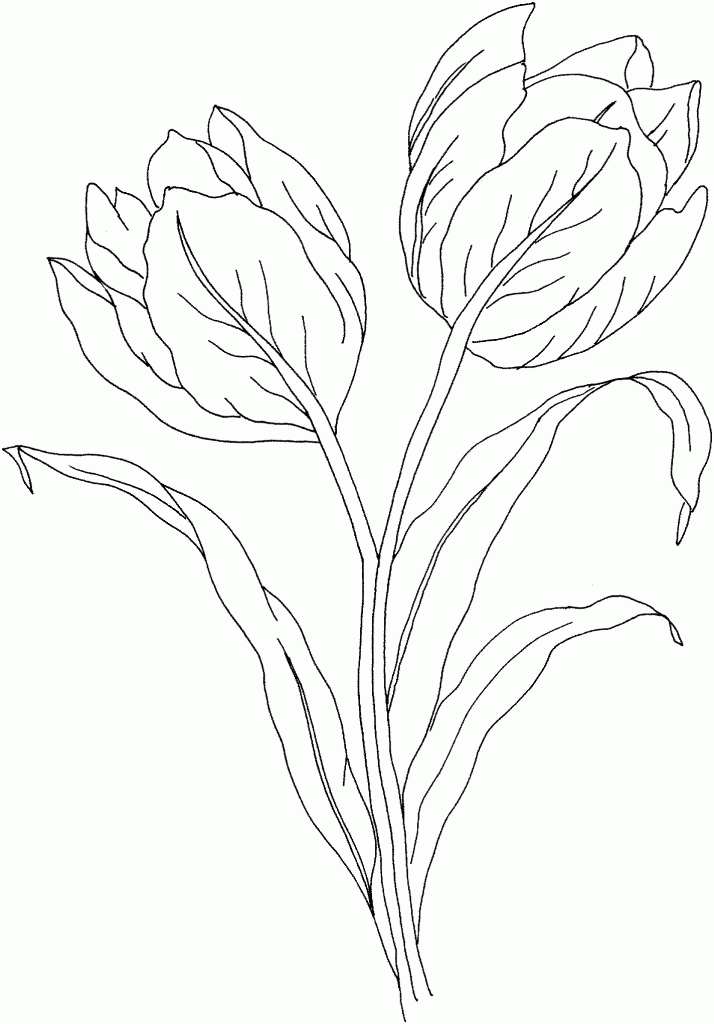 Página para colorir: Tulipa (Natureza) #161655 - Páginas para Colorir Imprimíveis Gratuitamente