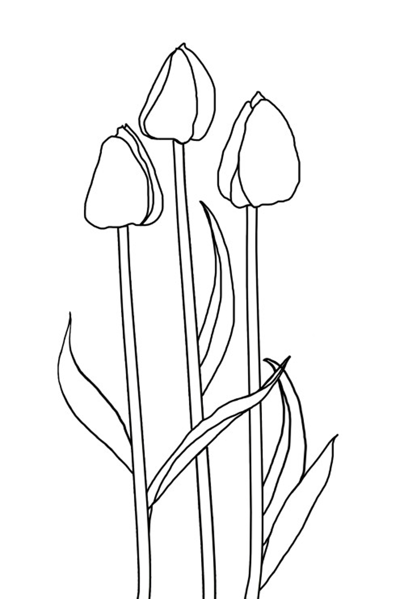 Página para colorir: Tulipa (Natureza) #161667 - Páginas para Colorir Imprimíveis Gratuitamente