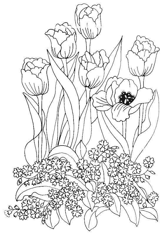 Página para colorir: Tulipa (Natureza) #161669 - Páginas para Colorir Imprimíveis Gratuitamente