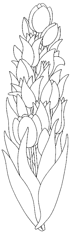 Página para colorir: Tulipa (Natureza) #161675 - Páginas para Colorir Imprimíveis Gratuitamente