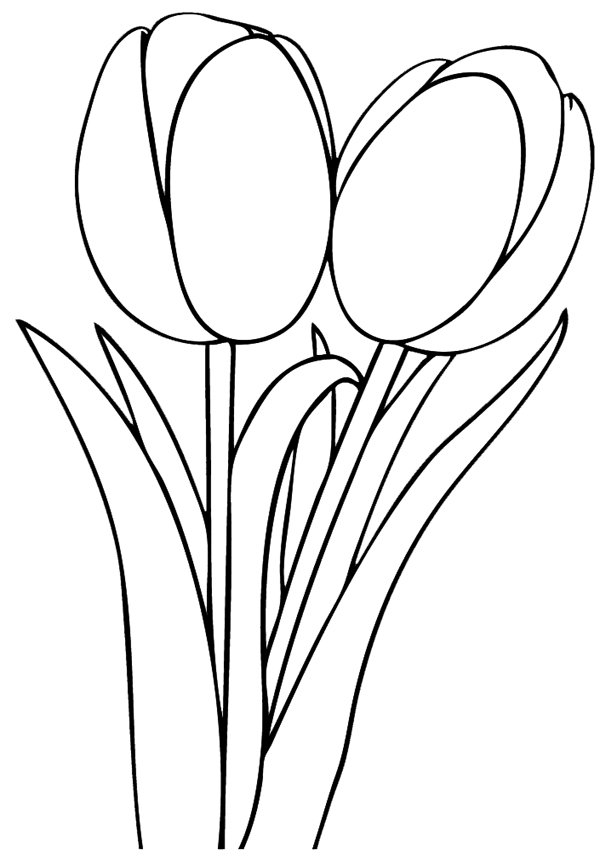 Página para colorir: Tulipa (Natureza) #161700 - Páginas para Colorir Imprimíveis Gratuitamente