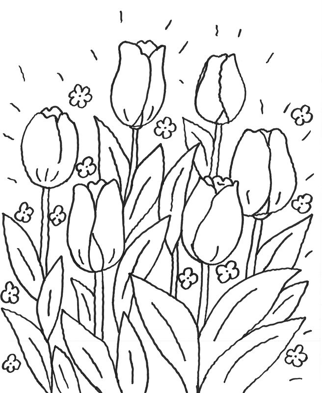 Página para colorir: Tulipa (Natureza) #161702 - Páginas para Colorir Imprimíveis Gratuitamente