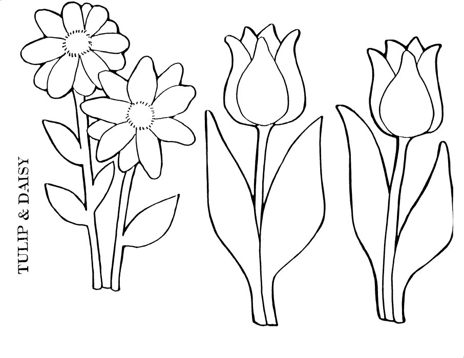 Página para colorir: Tulipa (Natureza) #161704 - Páginas para Colorir Imprimíveis Gratuitamente