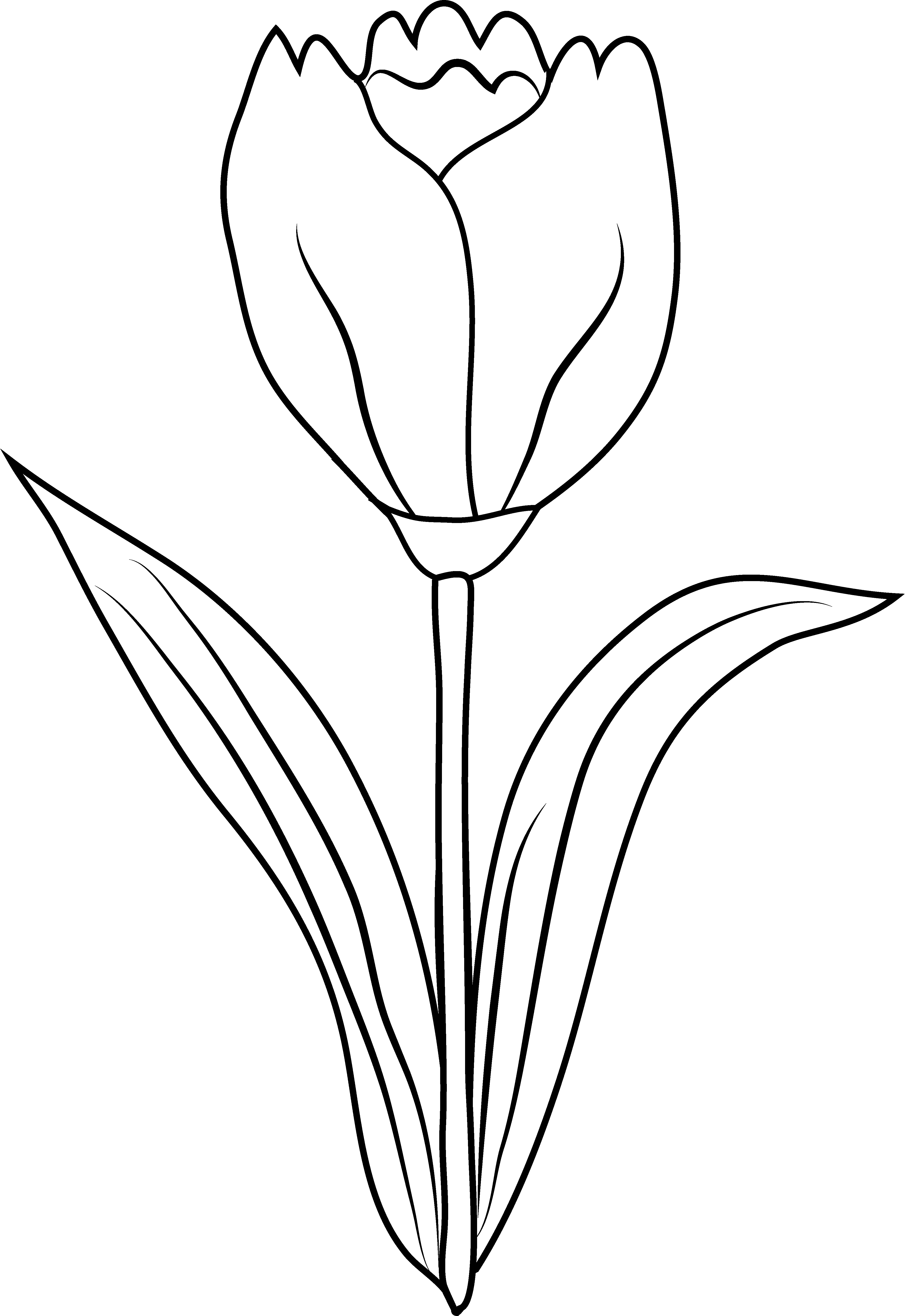 Página para colorir: Tulipa (Natureza) #161706 - Páginas para Colorir Imprimíveis Gratuitamente