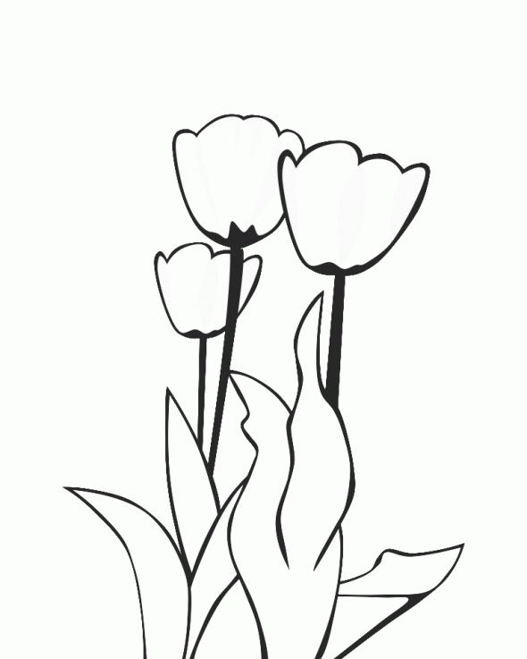 Página para colorir: Tulipa (Natureza) #161707 - Páginas para Colorir Imprimíveis Gratuitamente