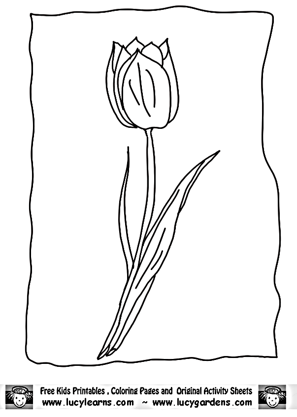 Página para colorir: Tulipa (Natureza) #161712 - Páginas para Colorir Imprimíveis Gratuitamente