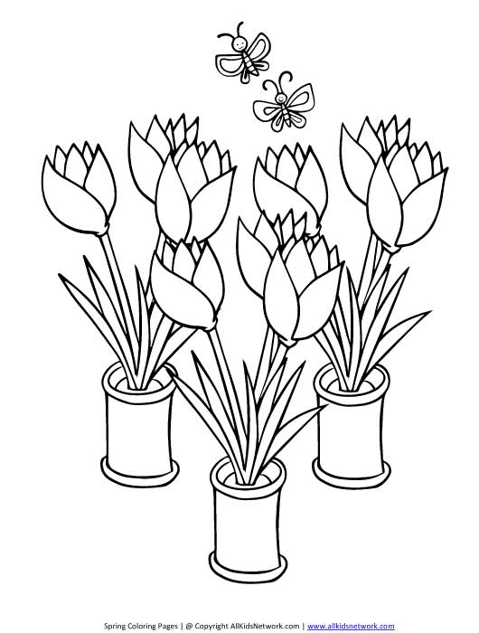 Página para colorir: Tulipa (Natureza) #161714 - Páginas para Colorir Imprimíveis Gratuitamente