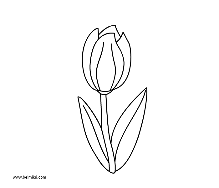 Página para colorir: Tulipa (Natureza) #161723 - Páginas para Colorir Imprimíveis Gratuitamente