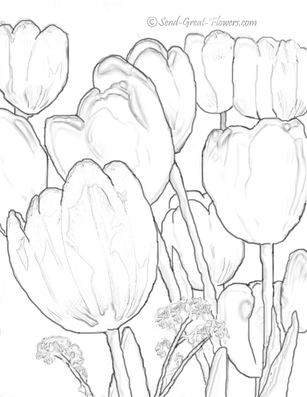 Página para colorir: Tulipa (Natureza) #161750 - Páginas para Colorir Imprimíveis Gratuitamente