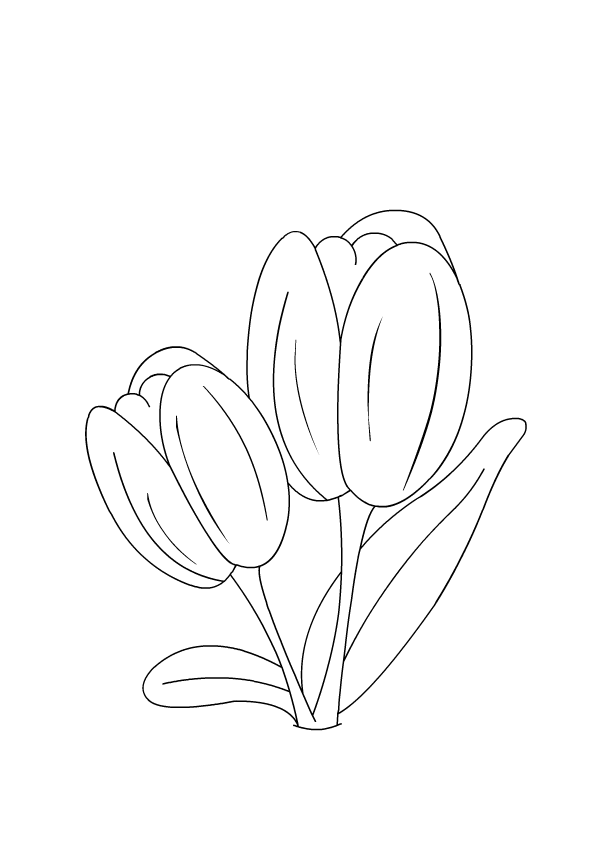 Página para colorir: Tulipa (Natureza) #161756 - Páginas para Colorir Imprimíveis Gratuitamente