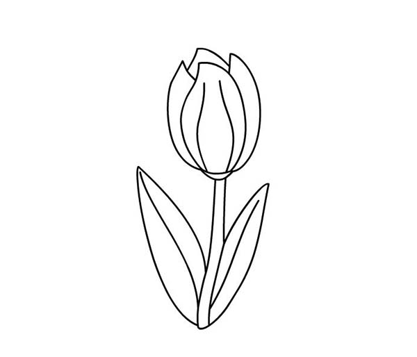 Página para colorir: Tulipa (Natureza) #161767 - Páginas para Colorir Imprimíveis Gratuitamente