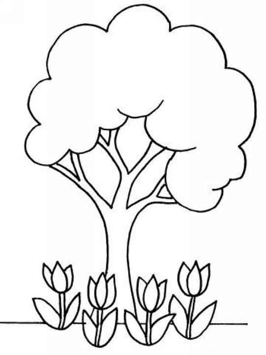 Página para colorir: Tulipa (Natureza) #161772 - Páginas para Colorir Imprimíveis Gratuitamente
