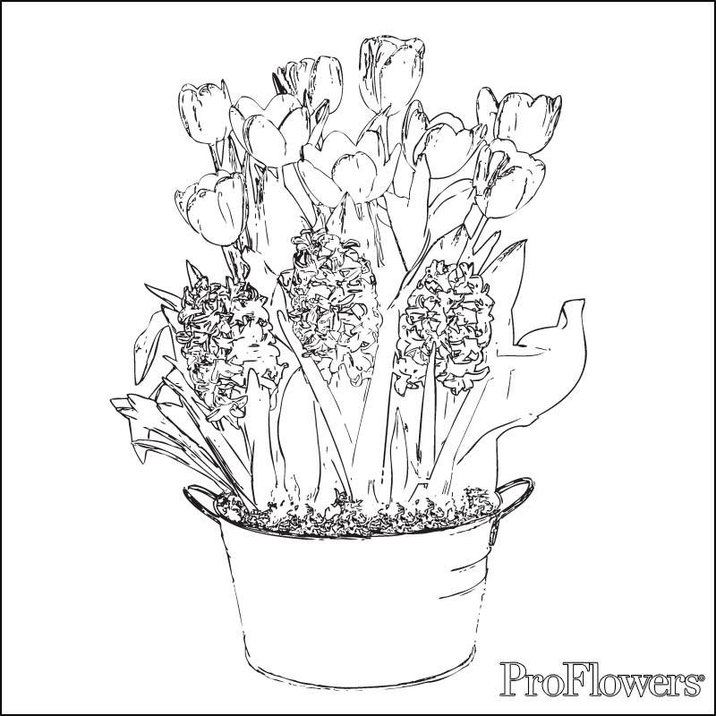 Página para colorir: Tulipa (Natureza) #161792 - Páginas para Colorir Imprimíveis Gratuitamente