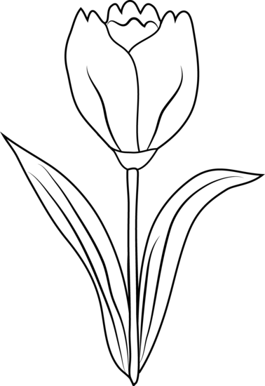 Página para colorir: Tulipa (Natureza) #161793 - Páginas para Colorir Imprimíveis Gratuitamente