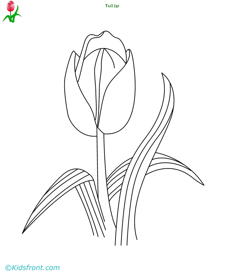 Página para colorir: Tulipa (Natureza) #161797 - Páginas para Colorir Imprimíveis Gratuitamente