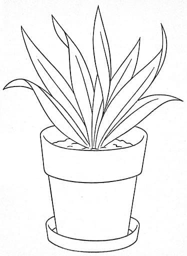 Desenho gratuito Vaso de Flores #221268 da colecao Objetos para imprimir Desenho gratuito Vaso de Flores #221268 da colecao Objetos para imprimir