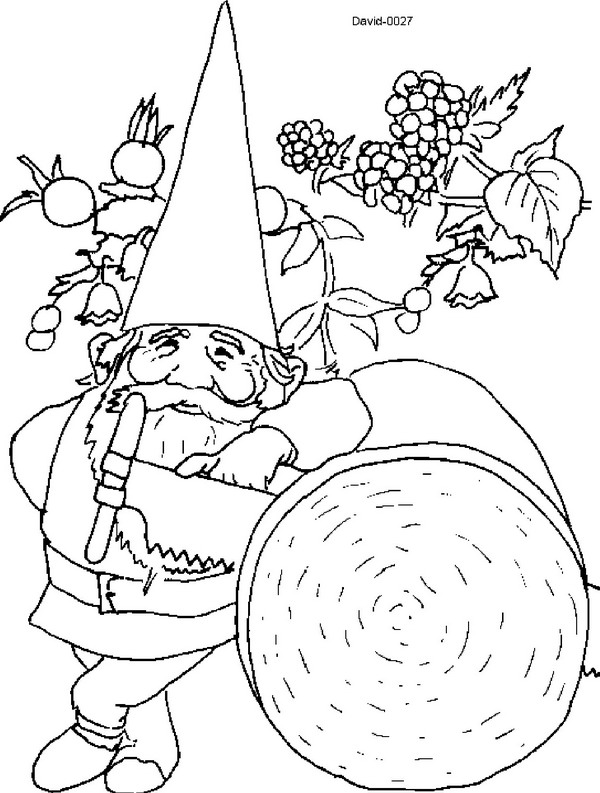 Desenho gratuito David, o Gnomo #51261 da colecao Personagens de Desenhos Animados para imprimir Desenho gratuito David, o Gnomo #51261 da colecao Personagens de Desenhos Animados para imprimir