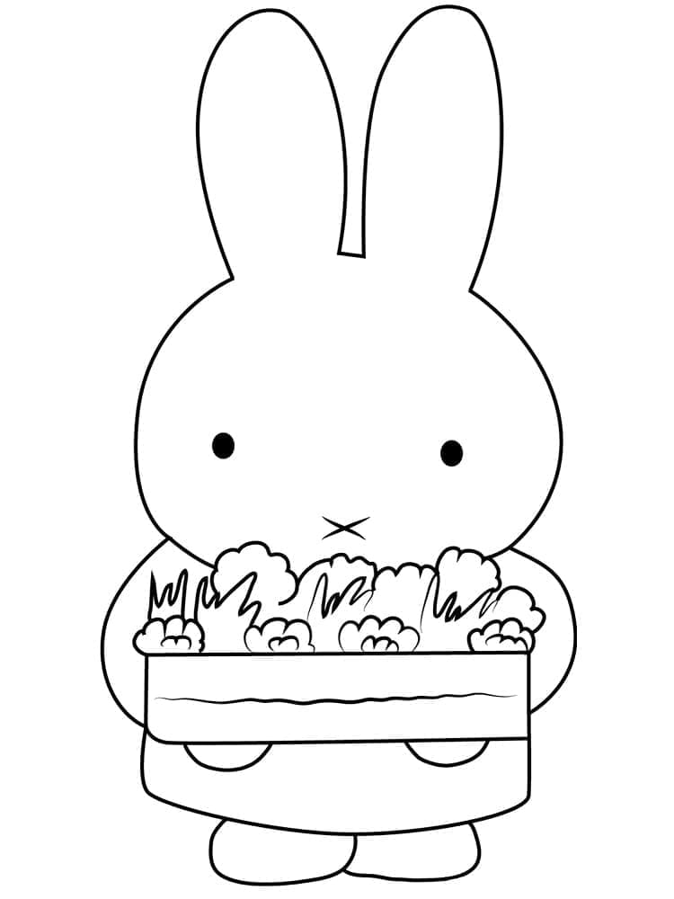 Desenho gratuito Miffy #202760 da colecao Personagens de Desenhos Animados para imprimir