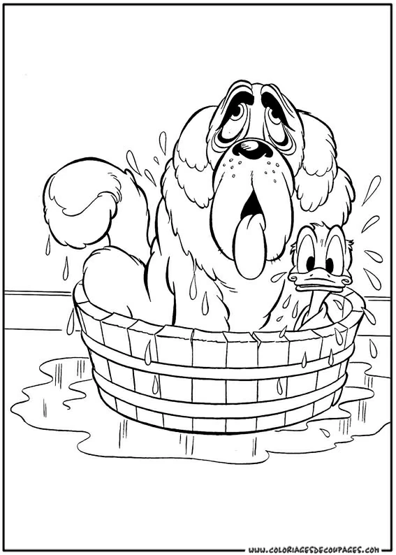 Desenho para colorir Pato Donald #30331 da coleção Personagens de Desenhos Animados, pronto para imprimir