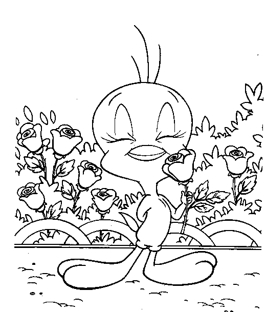 Desenho gratuito Piu-Piu e Frajola #29351 da colecao Personagens de Desenhos Animados para imprimir