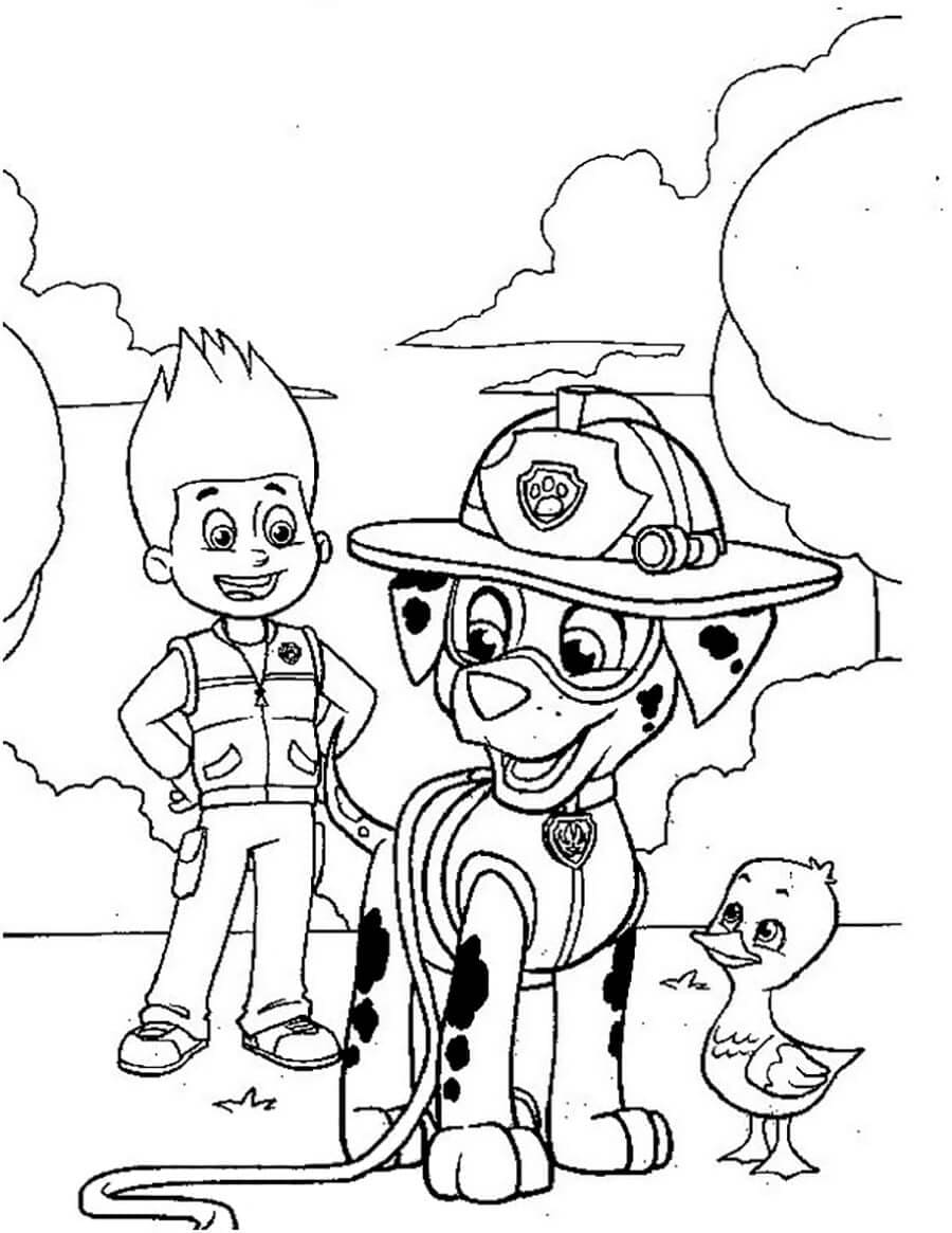 Desenho gratuito Ryder PAW Patrol #181774 da colecao Personagens de Desenhos Animados para imprimir Desenho gratuito Ryder PAW Patrol #181774 da colecao Personagens de Desenhos Animados para imprimir