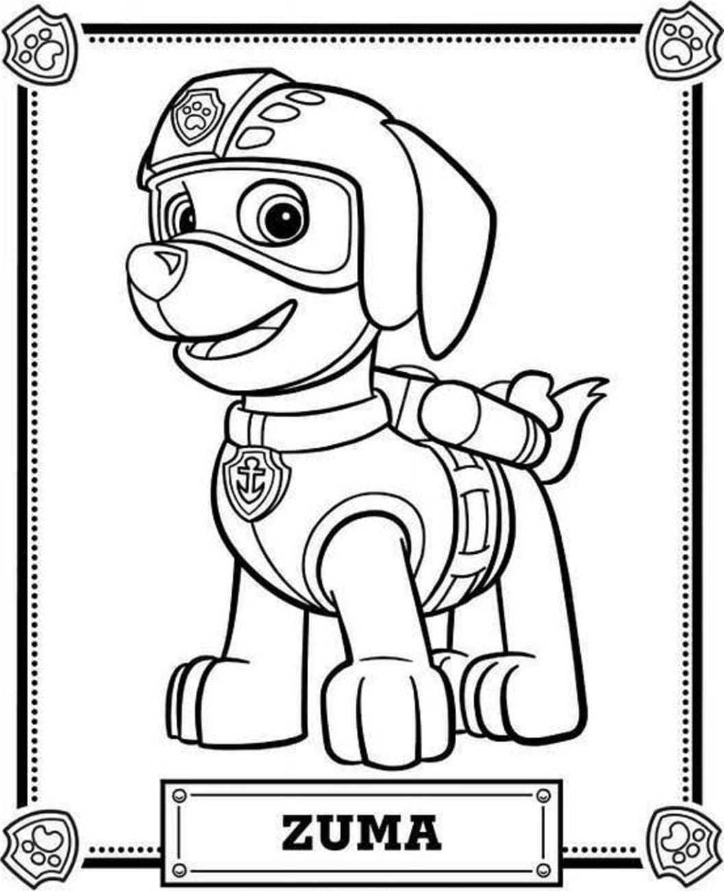 Página para colorir: Zuma PAW Patrol (Personagens de Desenhos Animados) #181691 - Páginas para Colorir Imprimíveis Gratuitamente