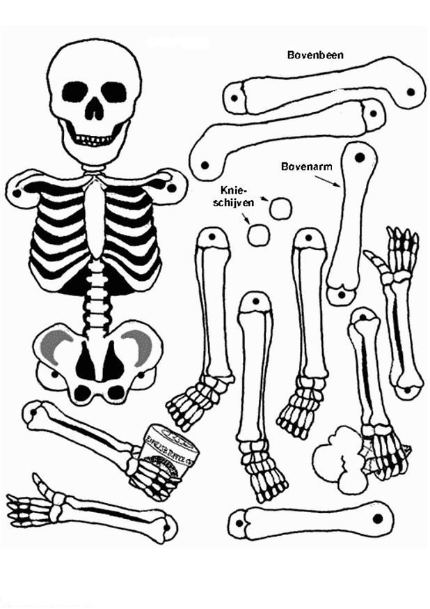 Página para colorir: Esqueleto (Personagens) #147419 - Páginas para Colorir Imprimíveis Gratuitamente