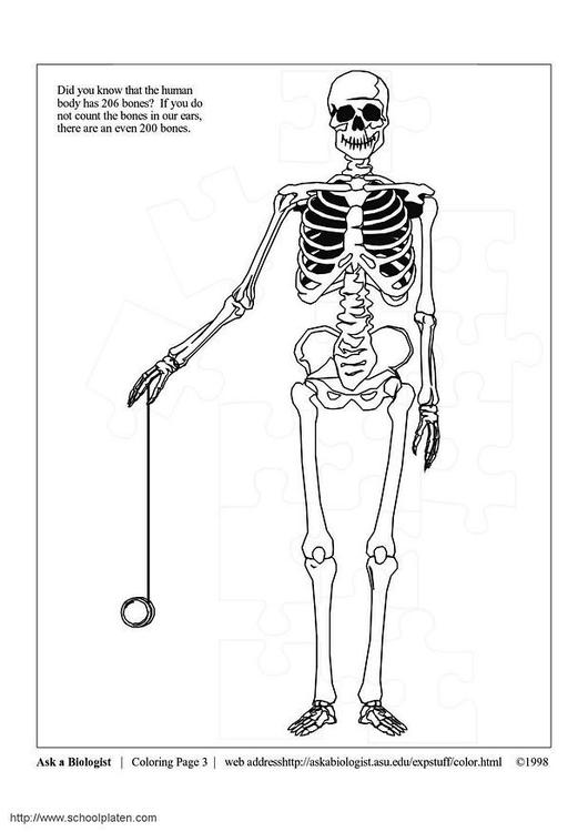 Página para colorir: Esqueleto (Personagens) #147456 - Páginas para Colorir Imprimíveis Gratuitamente