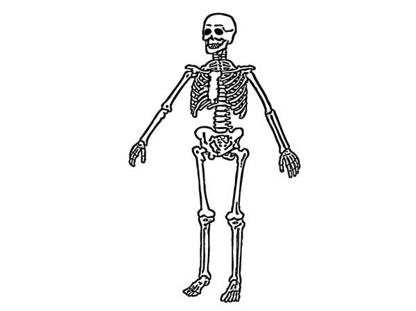 Página para colorir: Esqueleto (Personagens) #147554 - Páginas para Colorir Imprimíveis Gratuitamente