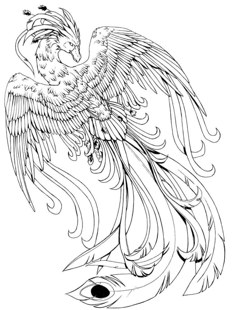 Linda página de Fênix #192257 para colorir, da coleção Personagens, baixe grátis Linda página de Fênix #192257 para colorir, da coleção Personagens, baixe grátis
