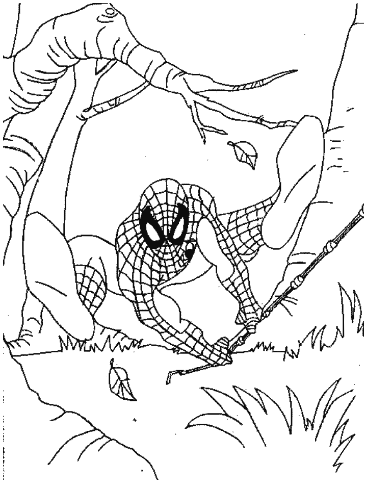 Página para colorir: Homem Aranha (Super heroi) #78750 - Páginas para Colorir Imprimíveis Gratuitamente