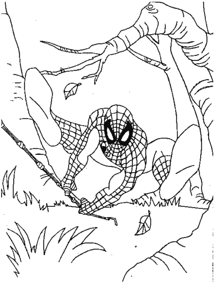 Página para colorir: Homem Aranha (Super heroi) #78844 - Páginas para Colorir Imprimíveis Gratuitamente